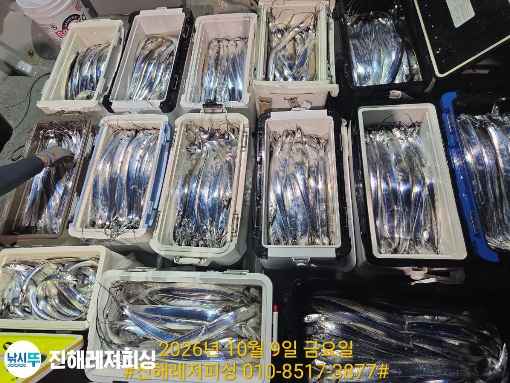 낚시뚜,갈치,진해1부두항,진해레져피싱,낚시뚜10