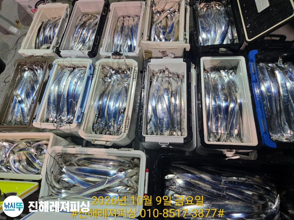 낚시뚜,갈치,진해1부두항,진해레져피싱,낚시뚜9