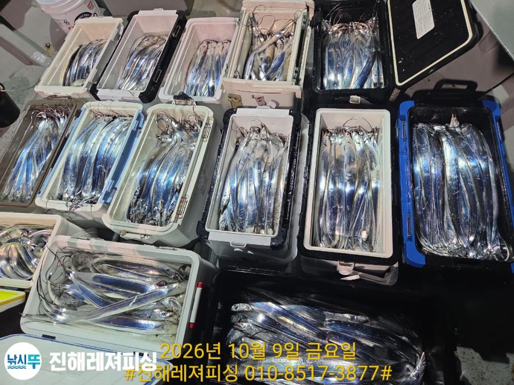 낚시뚜,갈치,진해1부두항,진해레져피싱,낚시뚜8