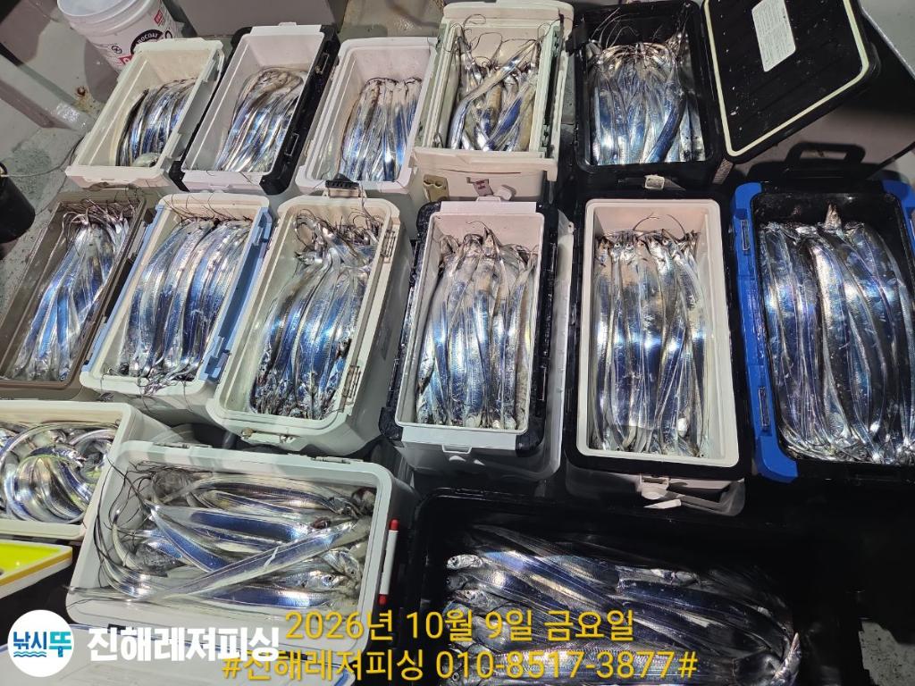 낚시뚜,갈치,진해1부두항,진해레져피싱,낚시뚜7