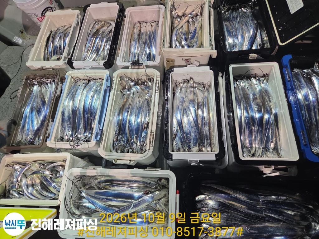 낚시뚜,갈치,진해1부두항,진해레져피싱,낚시뚜5