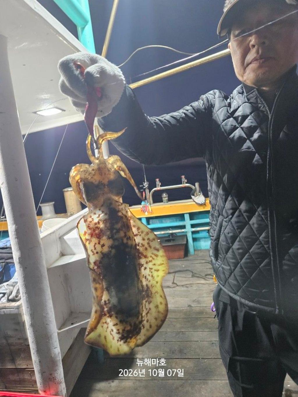 낚시뚜,무늬오징어,영일만항,뉴해마호,낚시뚜13