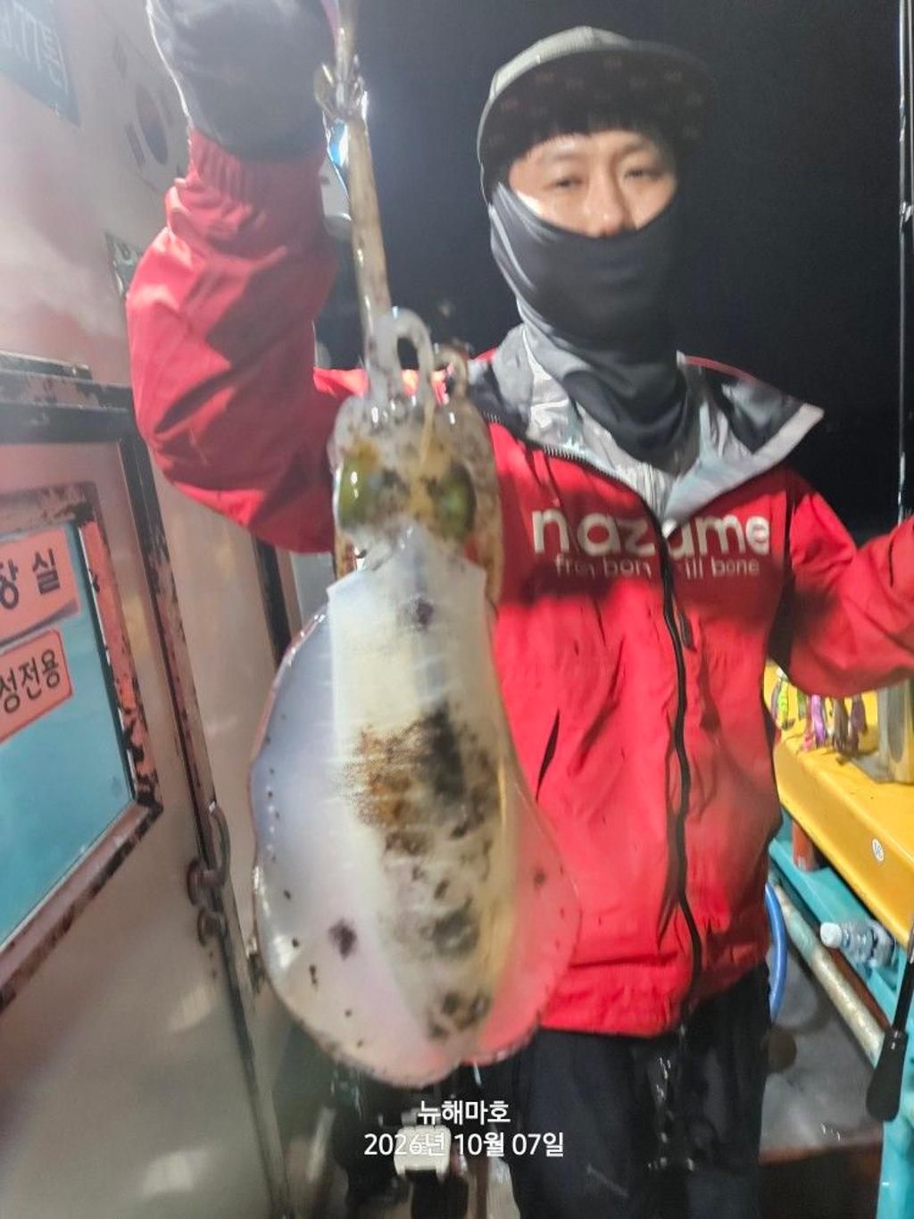 낚시뚜,무늬오징어,영일만항,뉴해마호,낚시뚜11