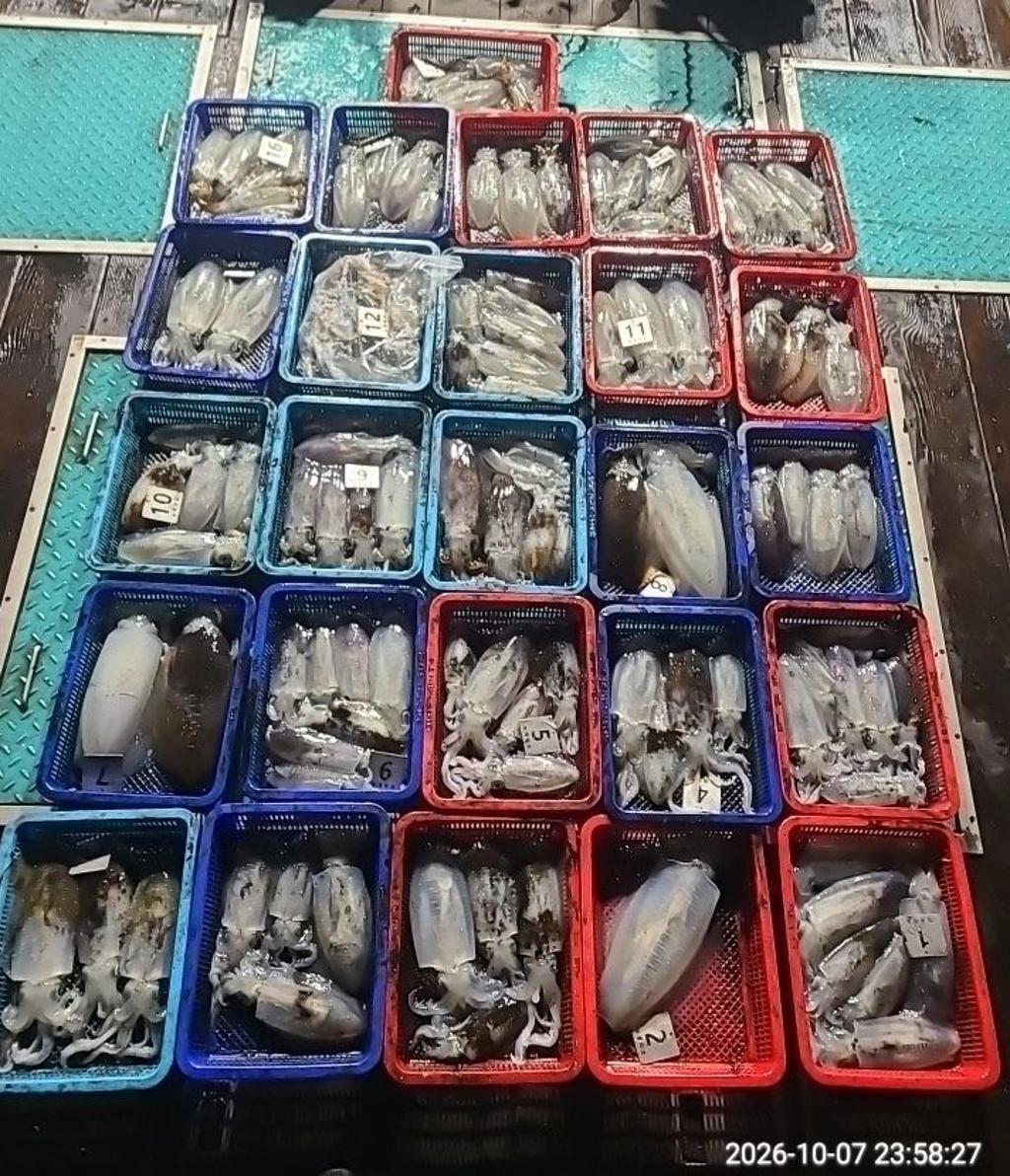 낚시뚜,무늬오징어,영일만항,뉴해마호,낚시뚜1