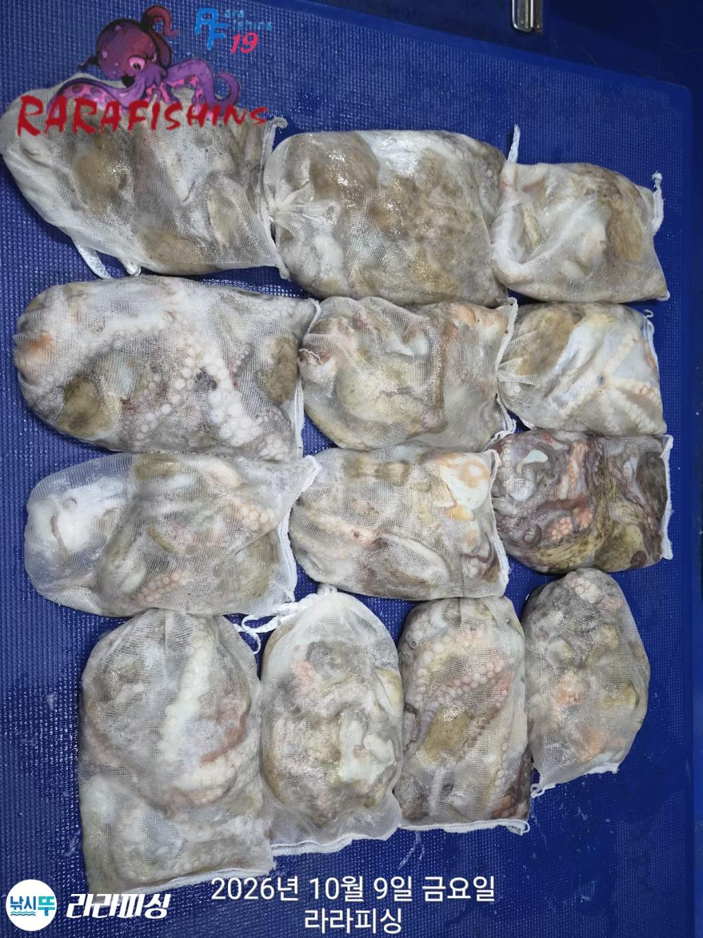 낚시뚜,돌문어,속천항(진해),라라피싱,낚시뚜14