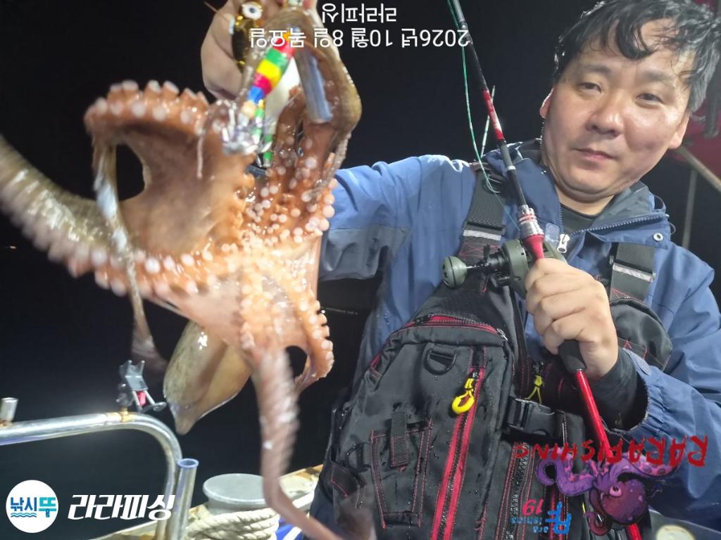 낚시뚜,돌문어,속천항(진해),라라피싱,낚시뚜10