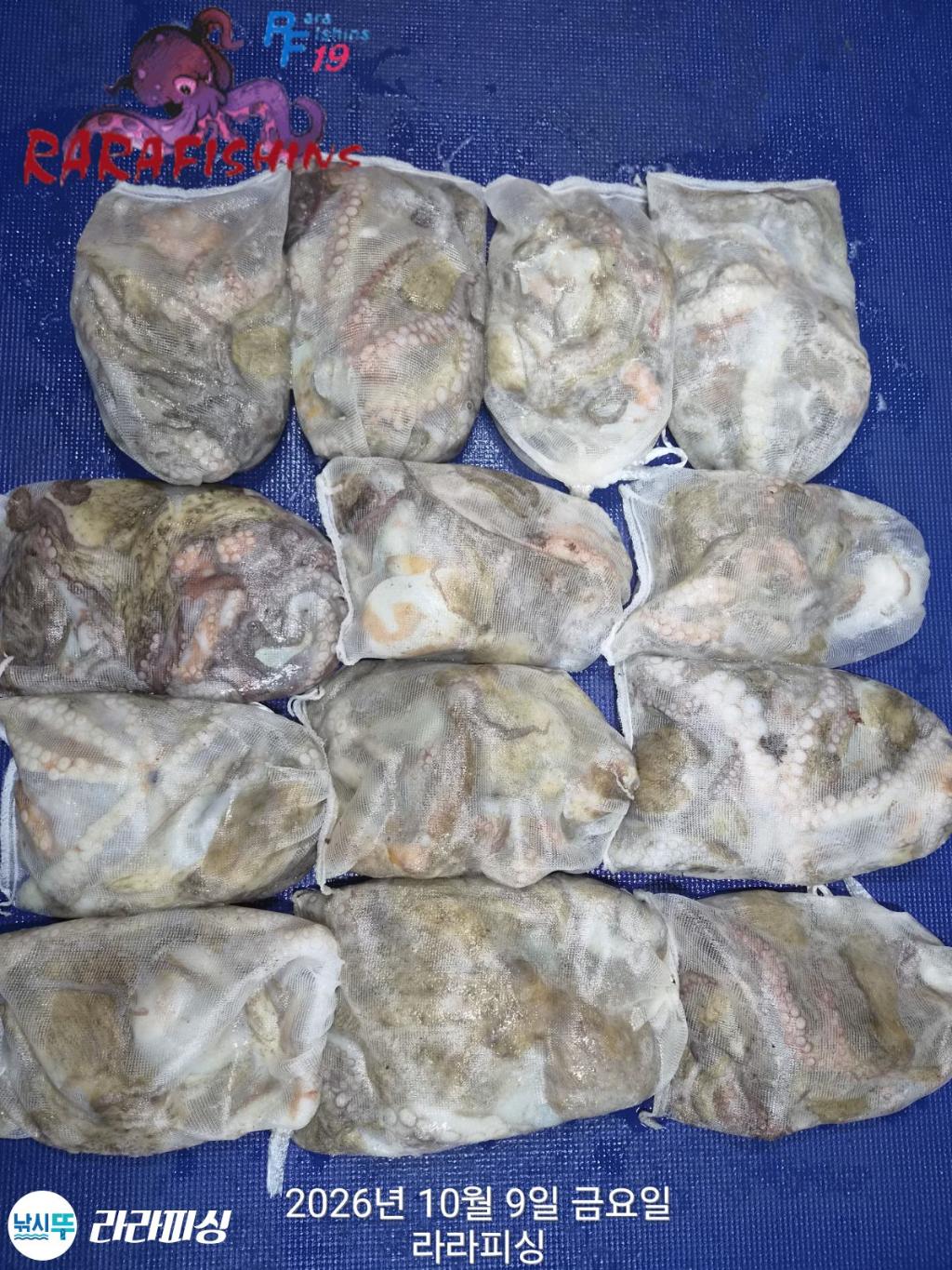 낚시뚜,돌문어,속천항(진해),라라피싱,낚시뚜0