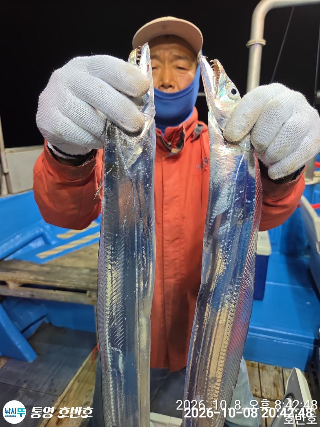 낚시뚜,갈치,통영 신전항,통영호반호,낚시뚜19