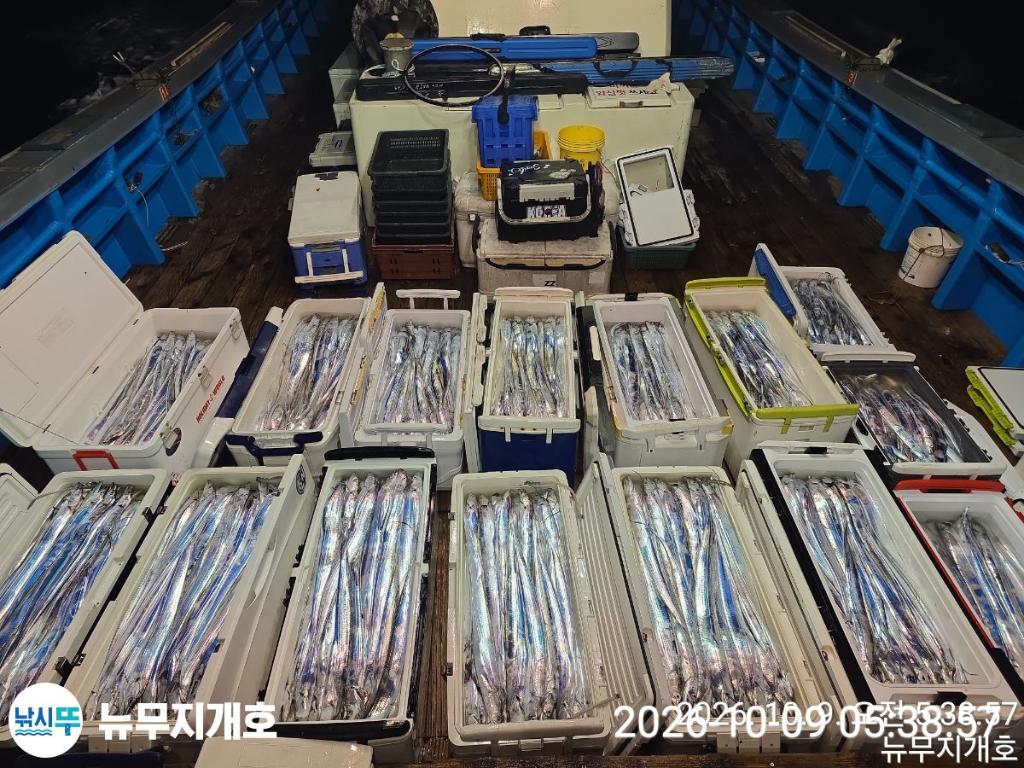 낚시뚜,갈치,통영영운리항,뉴무지개호,낚시뚜24