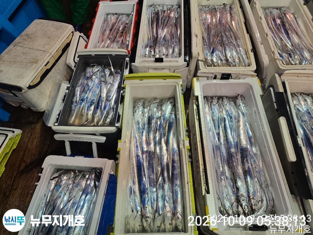 낚시뚜,갈치,통영영운리항,뉴무지개호,낚시뚜22