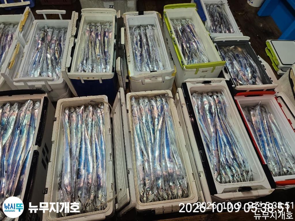 낚시뚜,갈치,통영영운리항,뉴무지개호,낚시뚜21
