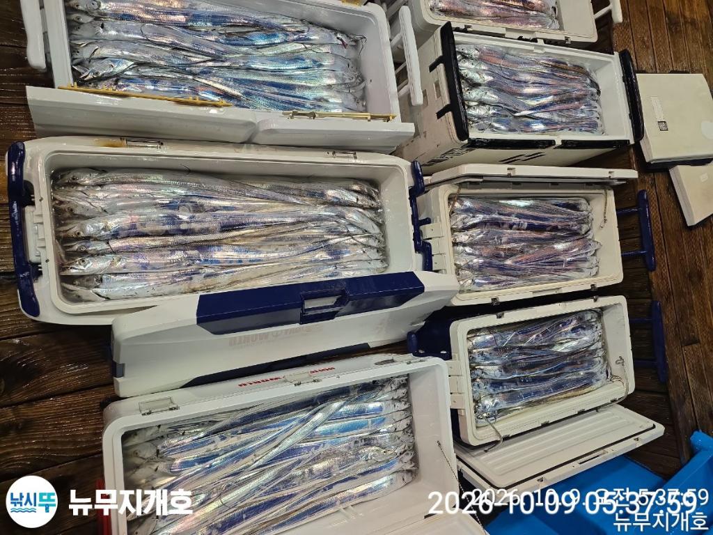 낚시뚜,갈치,통영영운리항,뉴무지개호,낚시뚜14