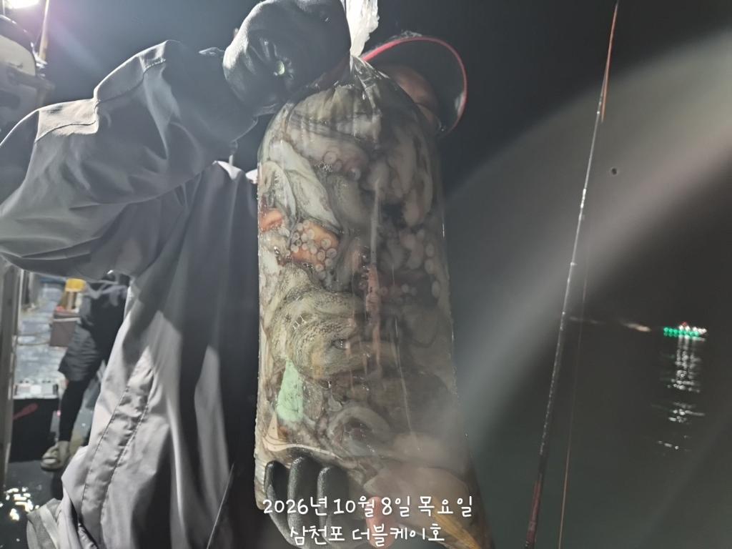 낚시뚜,돌문어,쭈꾸미,삼천포 팔포항,삼천포 더블케이호,낚시뚜21