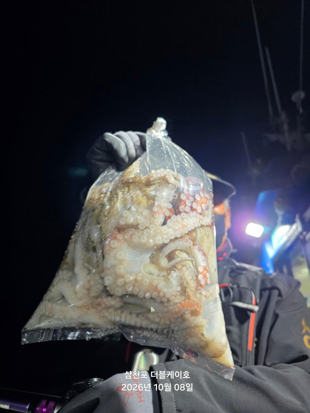 낚시뚜,돌문어,쭈꾸미,삼천포 팔포항,삼천포 더블케이호,낚시뚜15