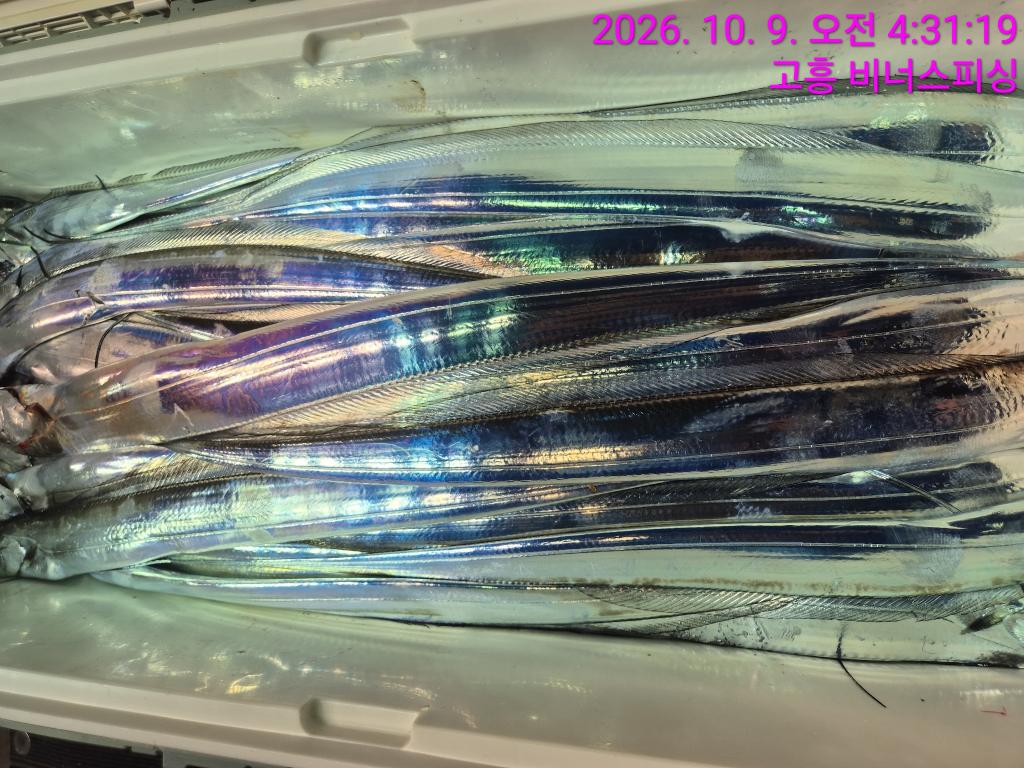 낚시뚜,,녹동항,비너스피싱,낚시뚜11