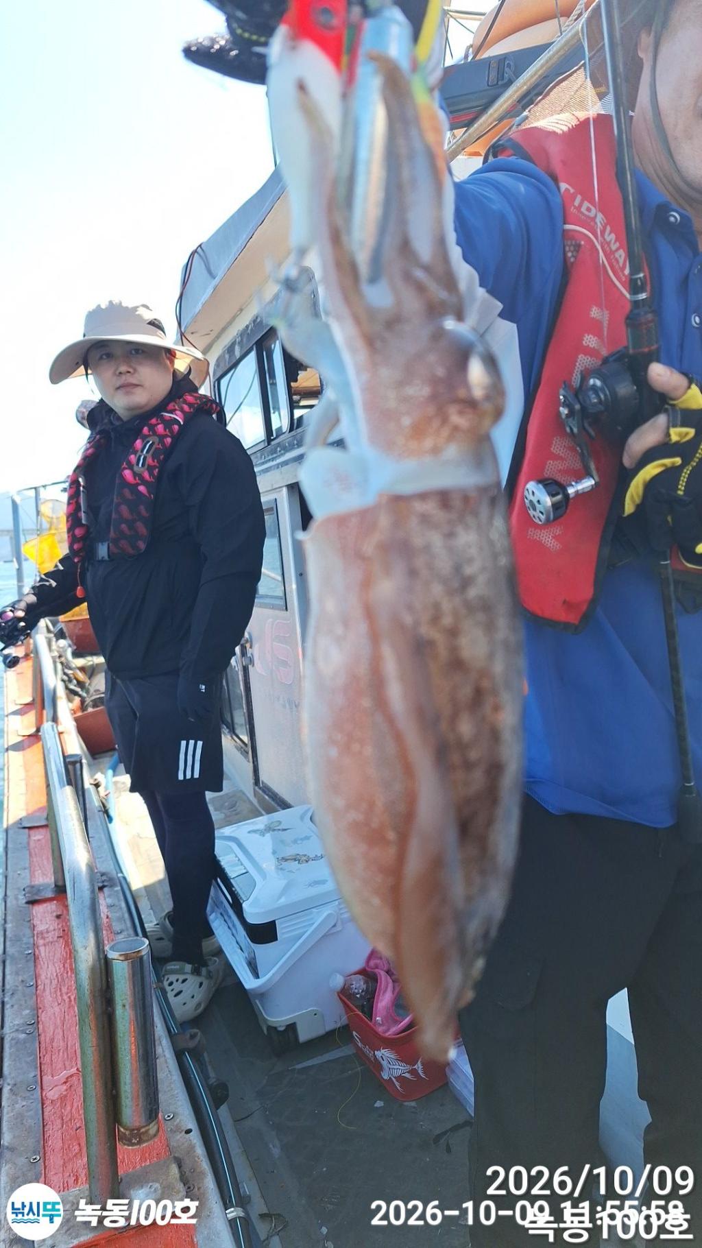 낚시뚜,갑오징어,녹동항,녹동100호,낚시뚜10