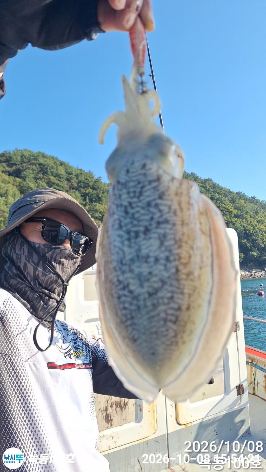 낚시뚜,갑오징어,녹동항,녹동100호,낚시뚜1