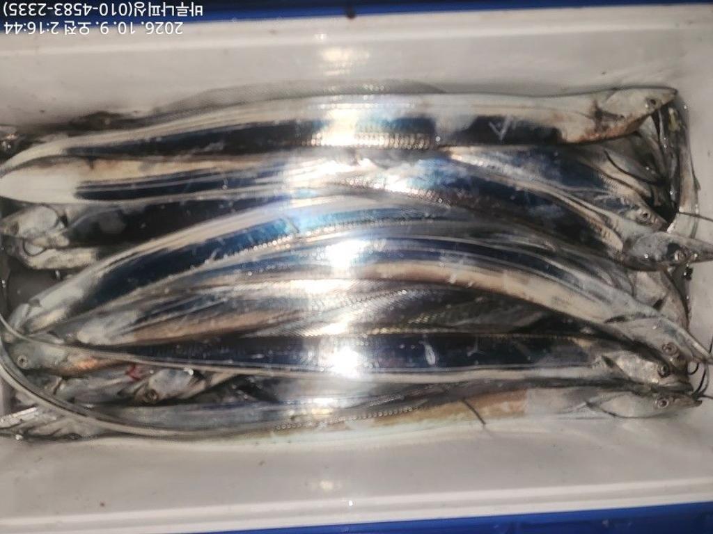 낚시뚜,갈치,속천항(진해),바루나피싱,낚시뚜18