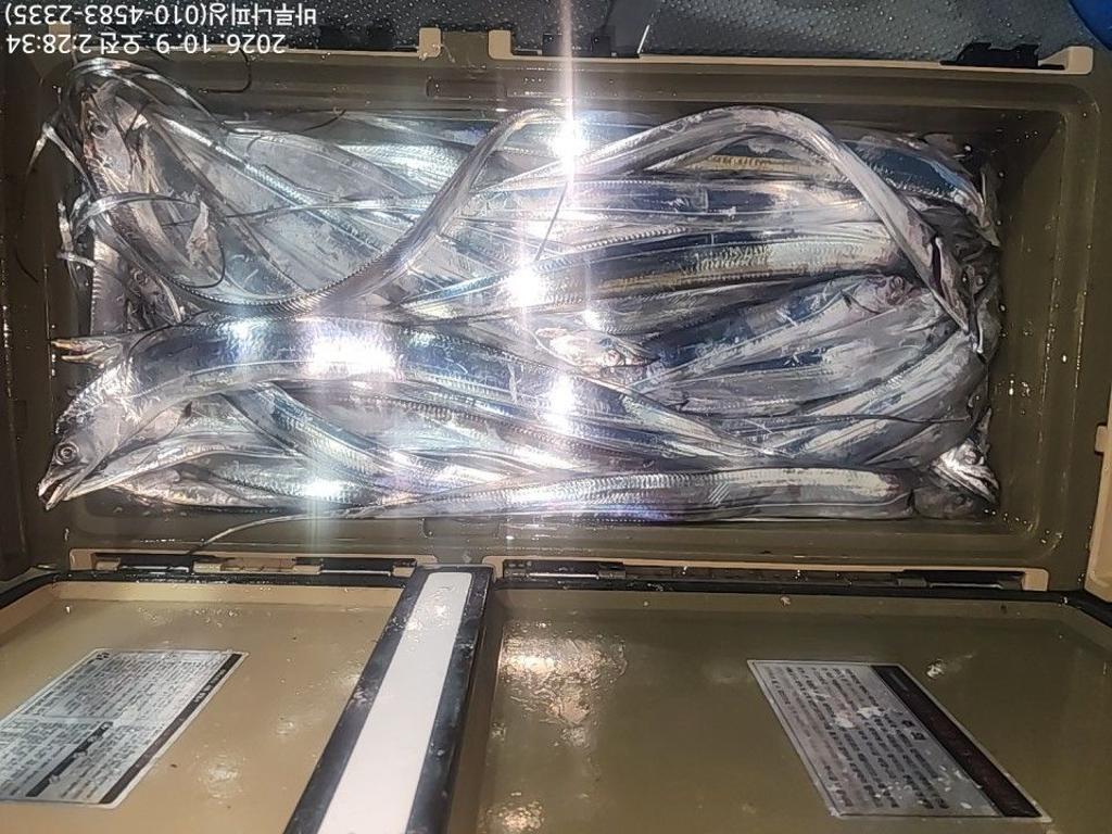 낚시뚜,갈치,속천항(진해),바루나피싱,낚시뚜3
