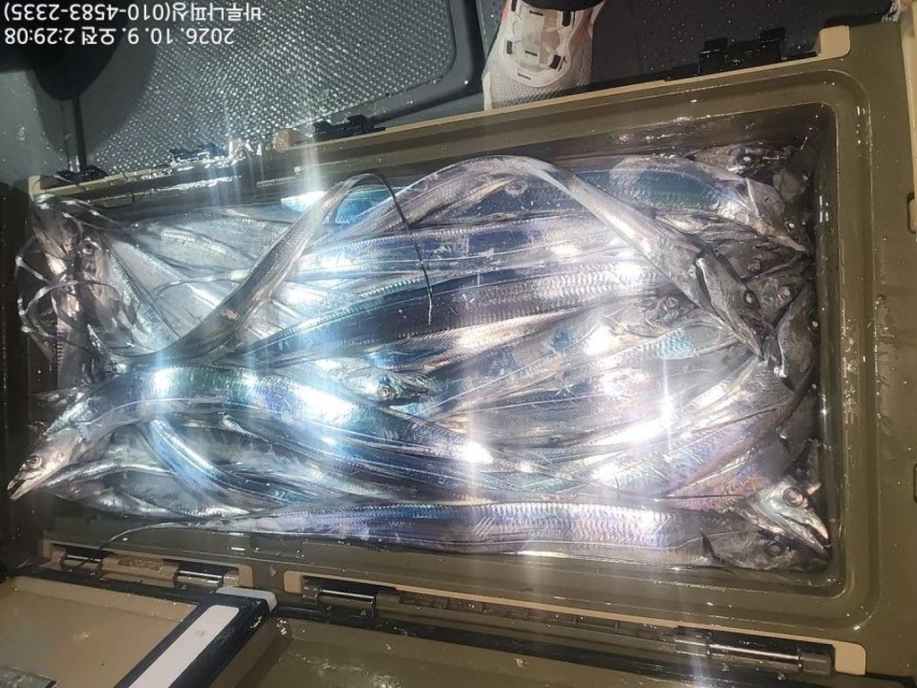 낚시뚜,갈치,속천항(진해),바루나피싱,낚시뚜1