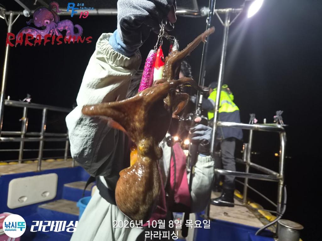 낚시뚜,돌문어,속천항(진해),라라피싱,낚시뚜13