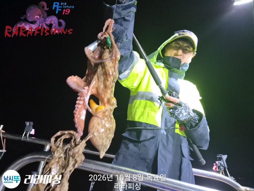 낚시뚜,돌문어,속천항(진해),라라피싱,낚시뚜7