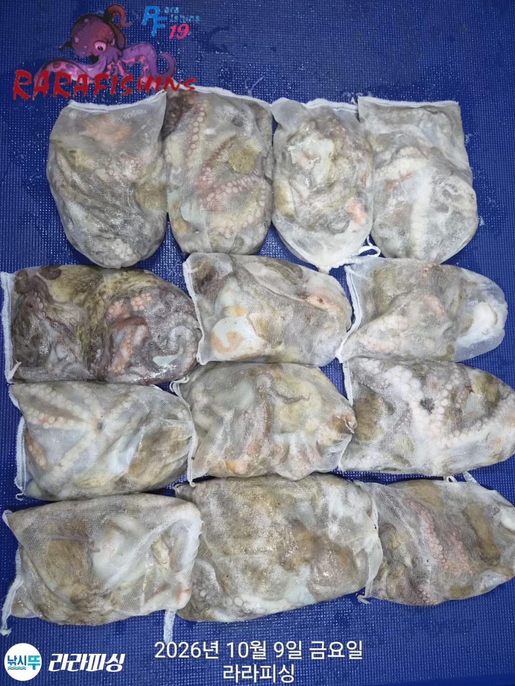 낚시뚜,돌문어,속천항(진해),라라피싱,낚시뚜0