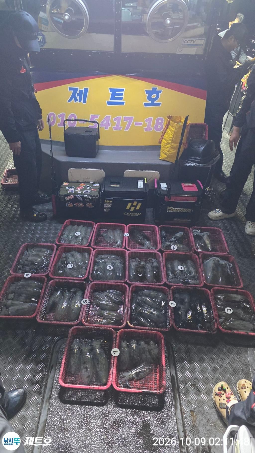 낚시뚜,무늬오징어,영일만항,포항 제트호,낚시뚜16