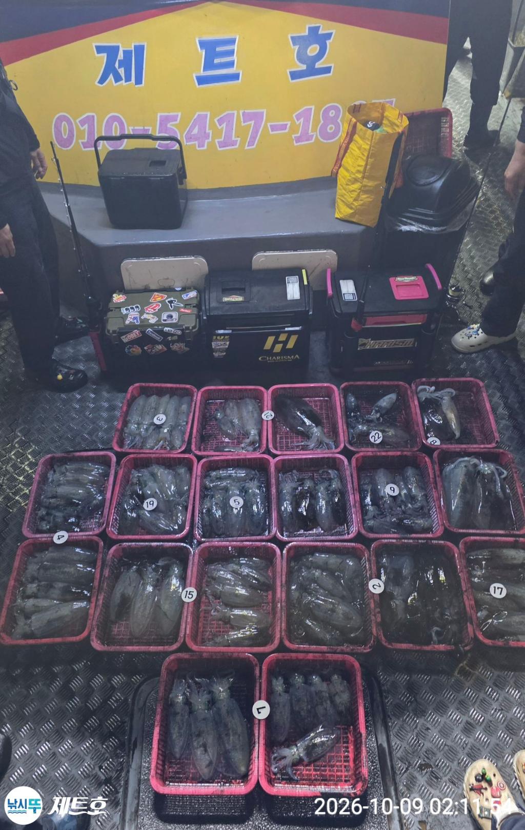 낚시뚜,무늬오징어,영일만항,포항 제트호,낚시뚜14