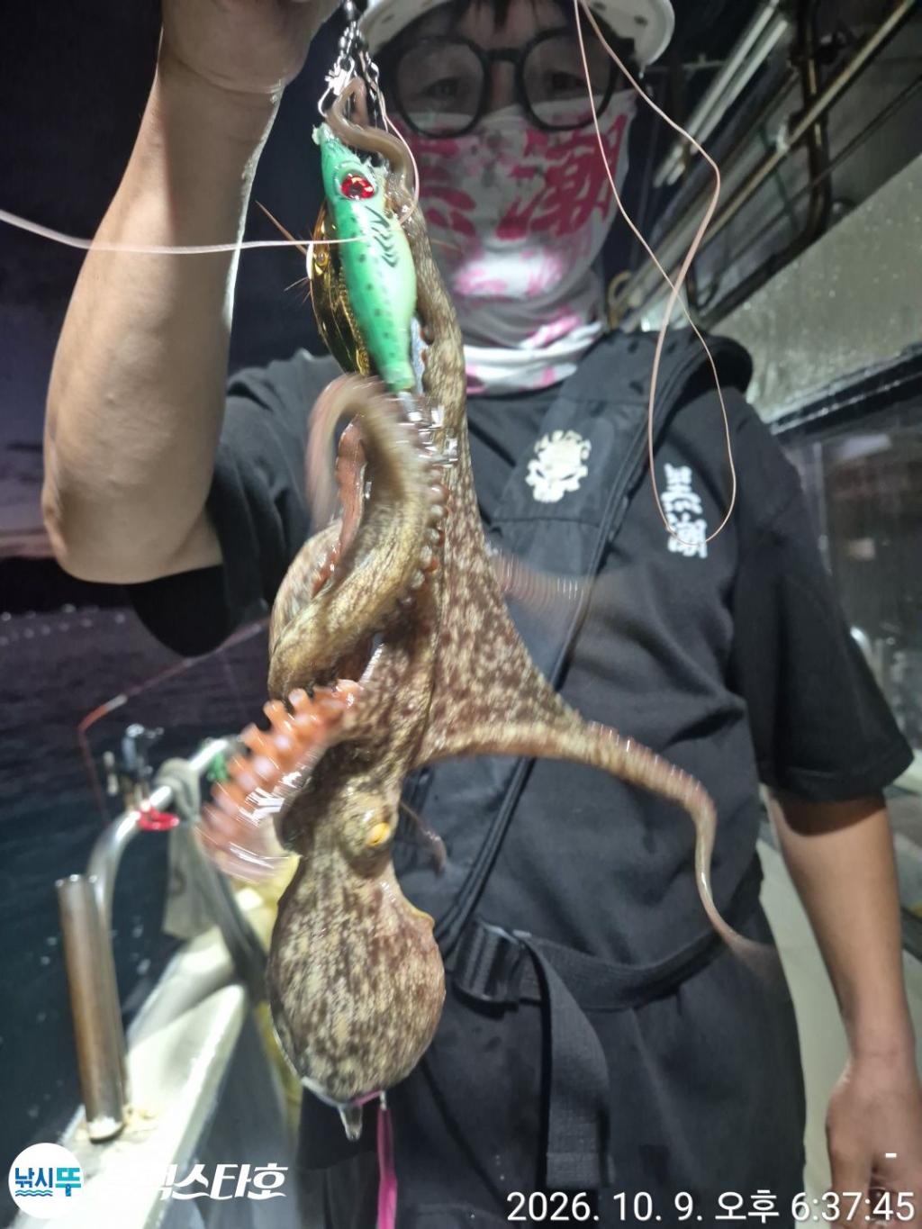 낚시뚜,돌문어,삼천포 팔포항,삼천포 블랙스타,낚시뚜3