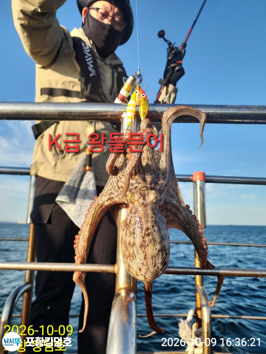 낚시뚜,돌문어,영일만항,포항 킹덤호,낚시뚜1