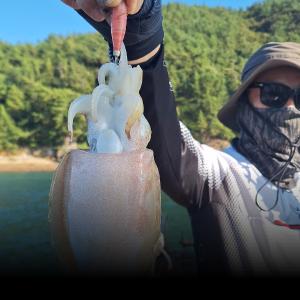 조황, 내일 토요일 갑오징어 2자리여유 있습니다 