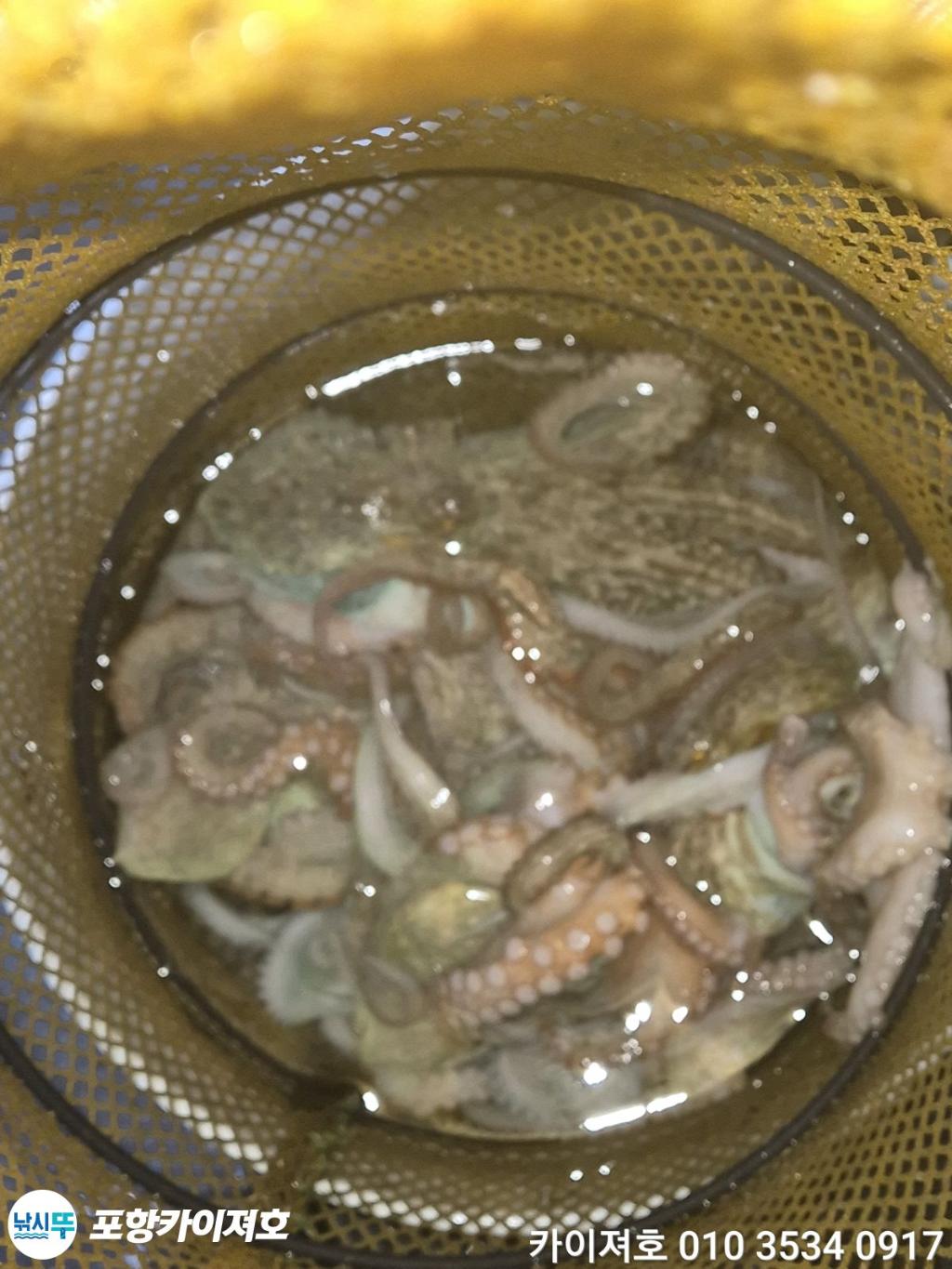 낚시뚜,기타 (직접입력),영일만항,포항카이져호,낚시뚜63