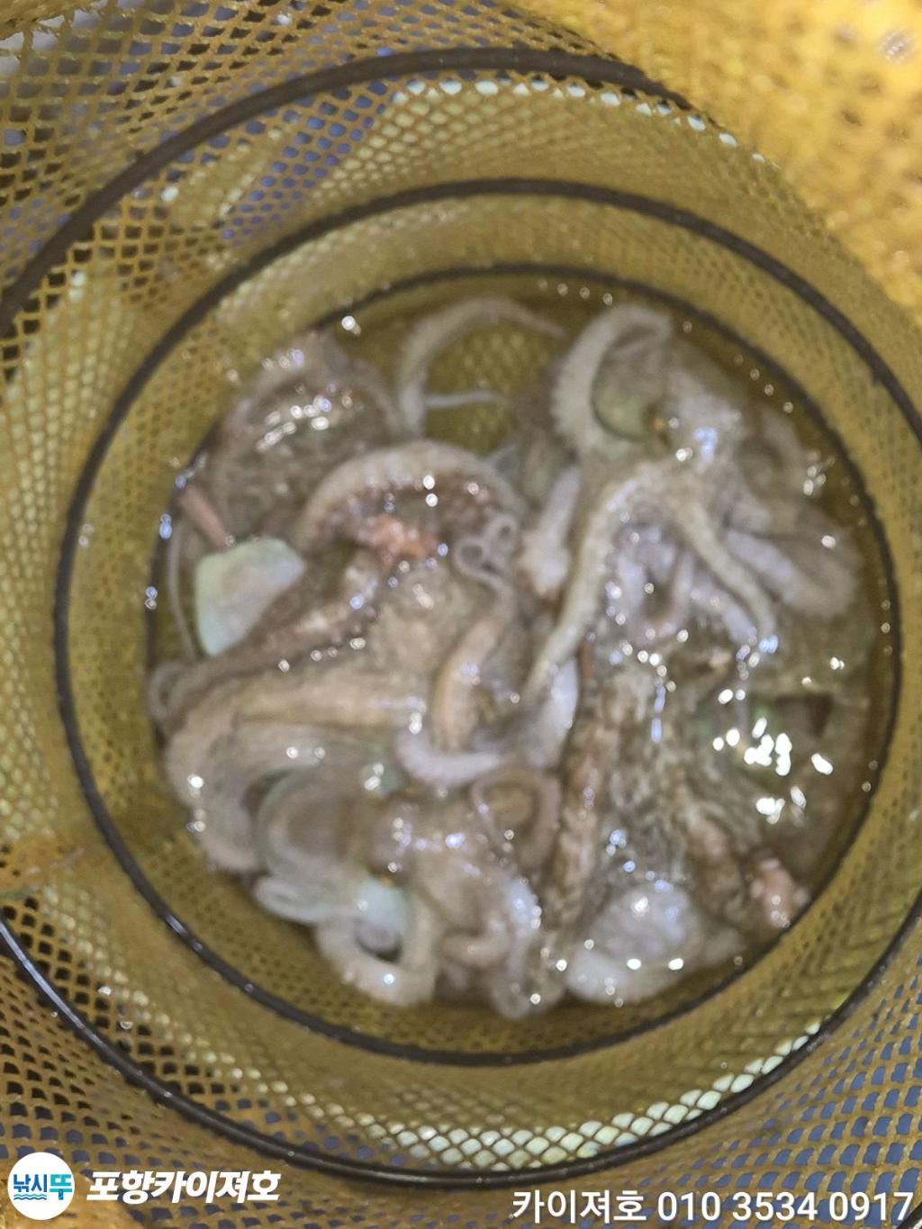 낚시뚜,기타 (직접입력),영일만항,포항카이져호,낚시뚜62