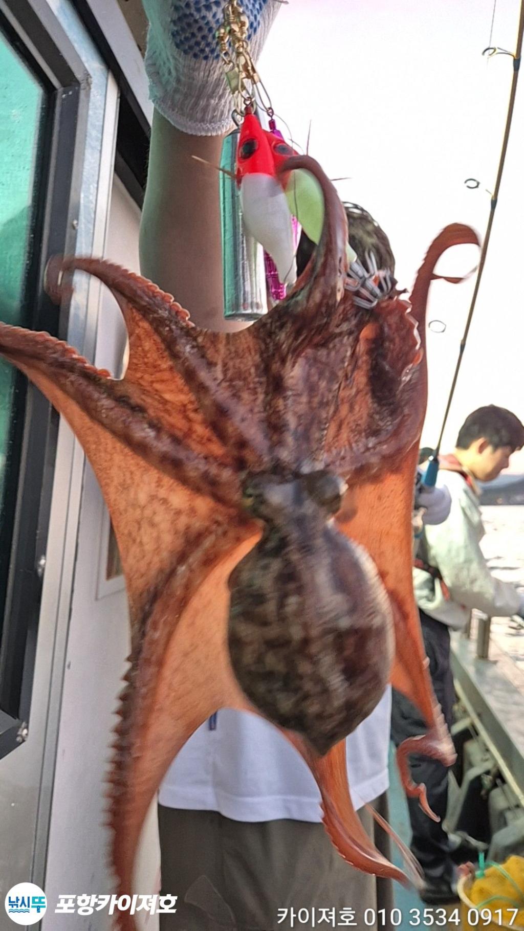 낚시뚜,기타 (직접입력),영일만항,포항카이져호,낚시뚜21