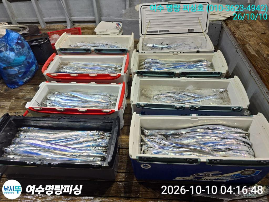 낚시뚜,갈치,국동항,여수명랑피싱,낚시뚜3