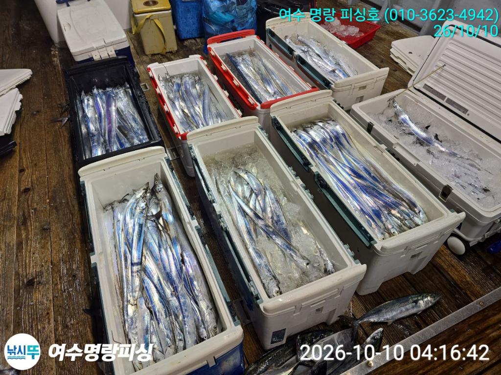 낚시뚜,갈치,국동항,여수명랑피싱,낚시뚜2