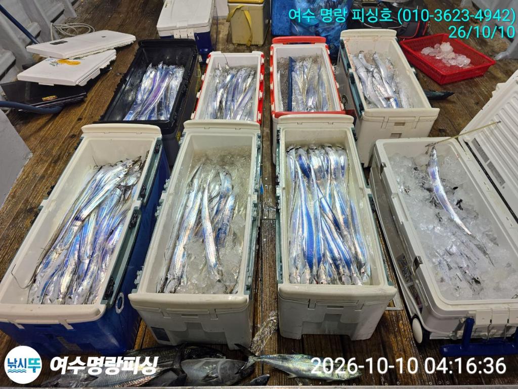 낚시뚜,갈치,국동항,여수명랑피싱,낚시뚜1