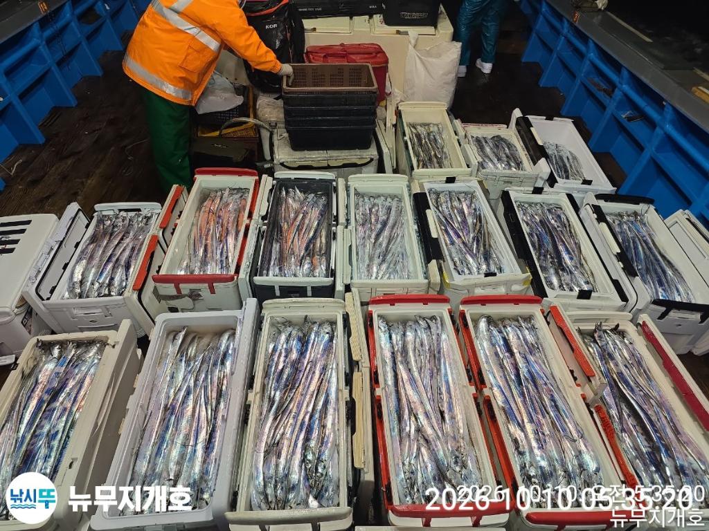 낚시뚜,갈치,통영영운리항,뉴무지개호,낚시뚜24