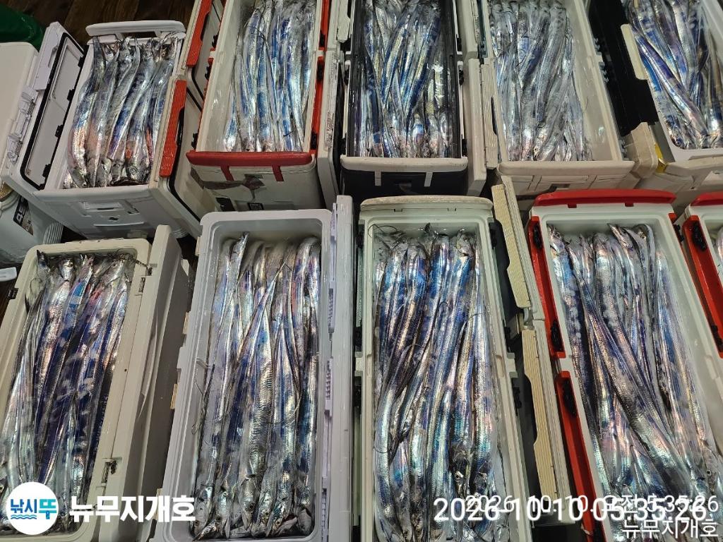 낚시뚜,갈치,통영영운리항,뉴무지개호,낚시뚜22
