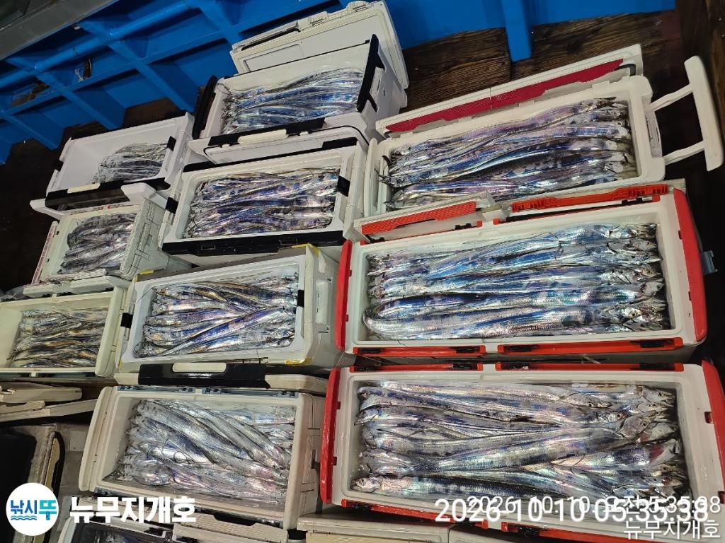 낚시뚜,갈치,통영영운리항,뉴무지개호,낚시뚜21