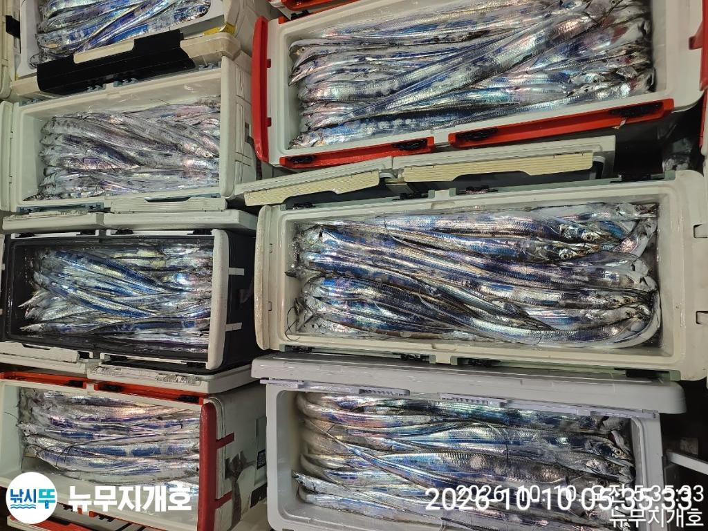 낚시뚜,갈치,통영영운리항,뉴무지개호,낚시뚜20