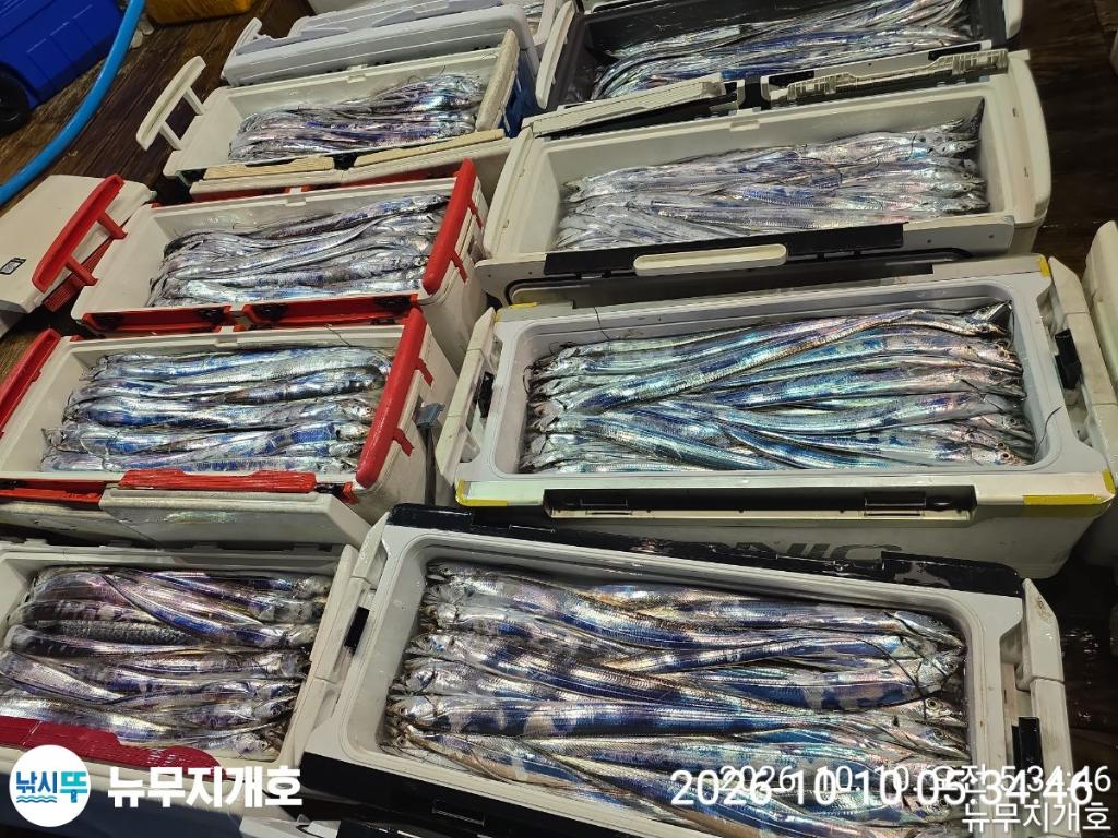 낚시뚜,갈치,통영영운리항,뉴무지개호,낚시뚜19