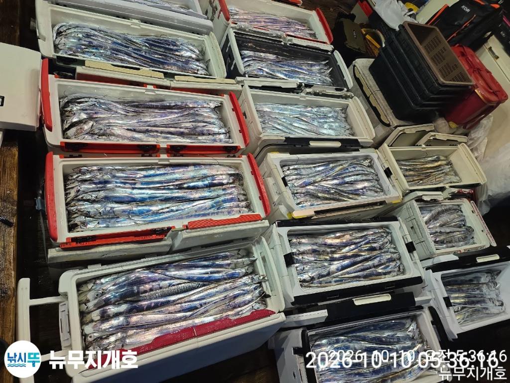 낚시뚜,갈치,통영영운리항,뉴무지개호,낚시뚜18