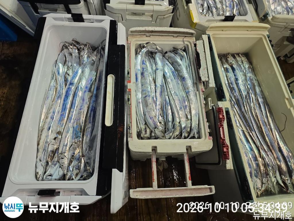 낚시뚜,갈치,통영영운리항,뉴무지개호,낚시뚜15