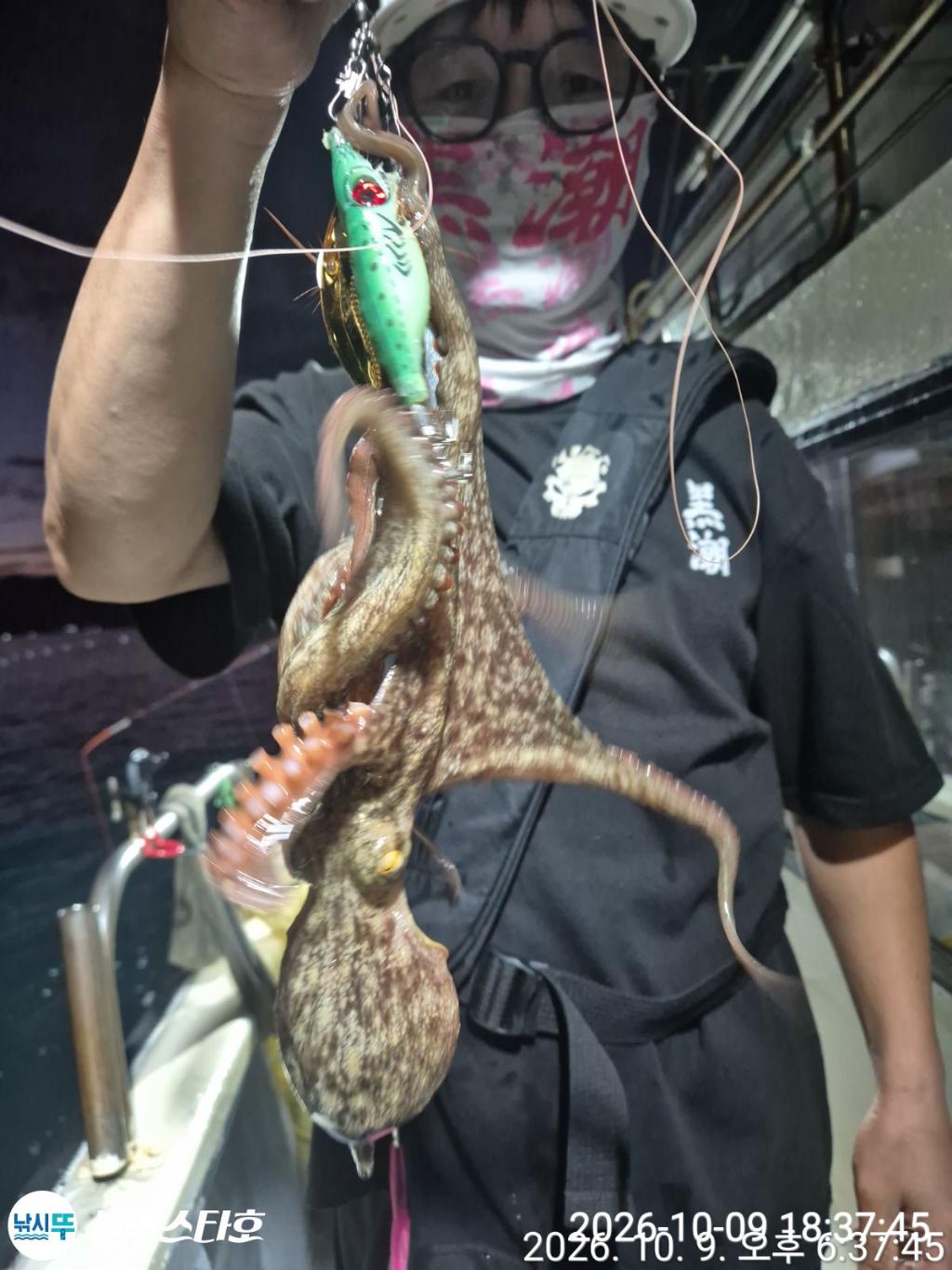 낚시뚜,돌문어,삼천포 팔포항,삼천포 블랙스타,낚시뚜6