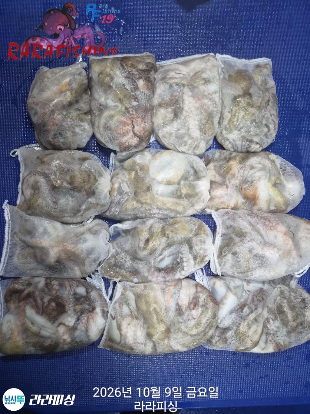 낚시뚜,돌문어,속천항(진해),라라피싱,낚시뚜14