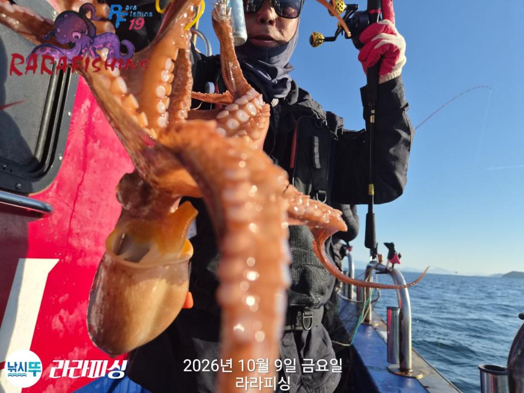 낚시뚜,돌문어,속천항(진해),라라피싱,낚시뚜7