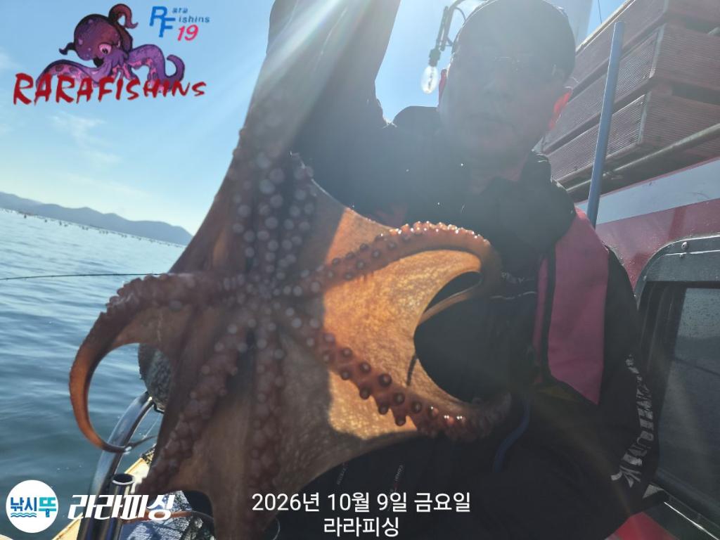 낚시뚜,돌문어,속천항(진해),라라피싱,낚시뚜5