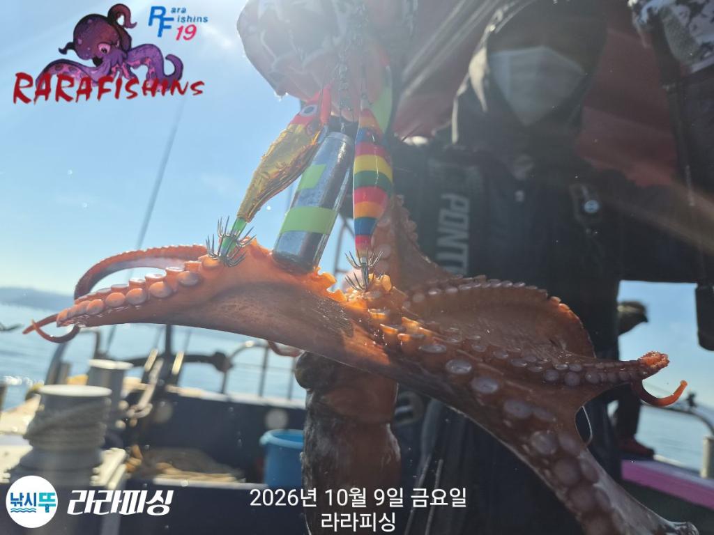 낚시뚜,돌문어,속천항(진해),라라피싱,낚시뚜4